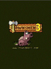game pic for Townsmen 3